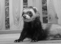 Isn't he gorgeous?